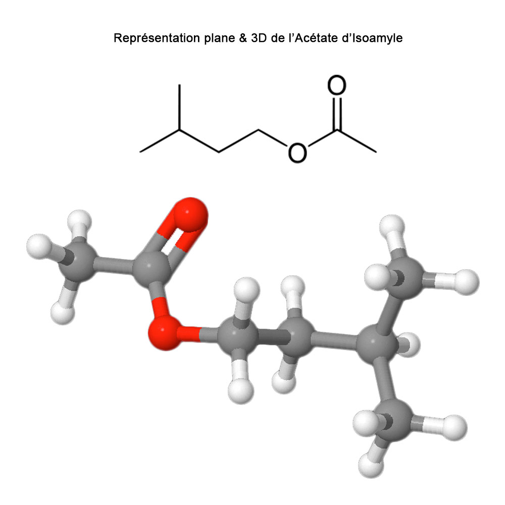 Ntroduire 90+ imagen formule alcool isoamylique fr.thptnganamst.edu.vn