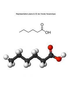Acide Caproïque