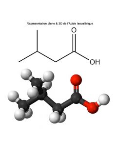 Acide Isovalérique