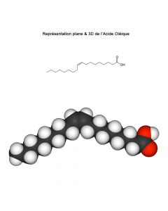 Acide Oléique