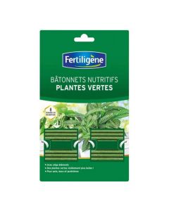 Bâtonnets Nutritifs Plantes Vertes Fertiligène