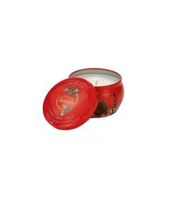 Bougie Parfumée Sapin de Noël Ashleigh Burwood