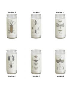 Bougie Verrine Insecte Affari