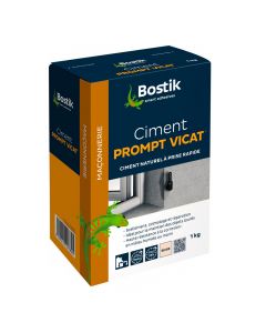 Ciment Prompt Vicat 1kg Bostik