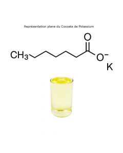 Cocoate de Potassium