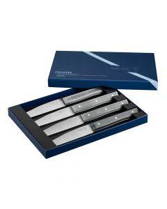 Coffret 4 Couteaux Microdentés Facette Ardoise Opinel