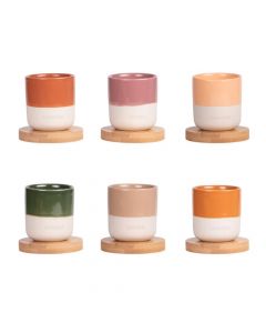 Tasses à Expresso Bicolores