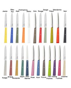 Couteau de Table n°125 - Série Bon Appétit Opinel