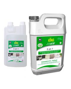 Detergent Eco Actif 5 en 1 King