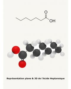 Acide Heptanoique 98%+ 1L
