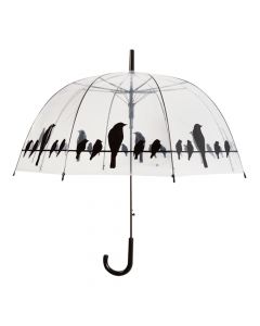 Parapluie Oiseaux
