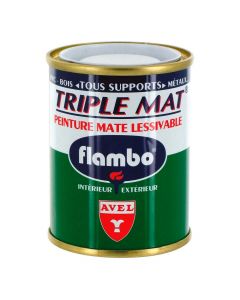 Peinture Triple Mat 100ml Flambo