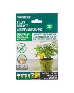 Pièges Collants Attrape Moucherons x12