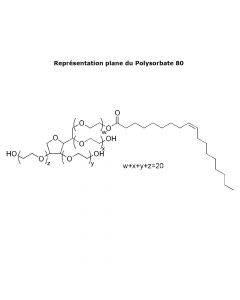 Polysorbate 80