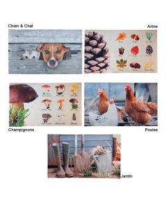 Tapis Anti-Dérapant