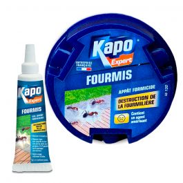 Fourmis Gel Appât Kapo, Anti Fourmis, Insecticide - Mon-Droguiste.com