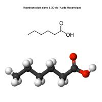 Acide Caproïque