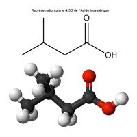 Acide Isovalérique