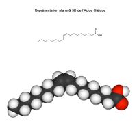 Acide Oléique