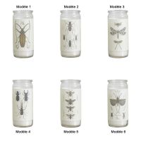 Bougie Verrine Insecte Affari