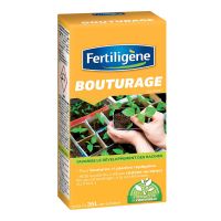 Bouturage Fertiligène