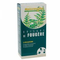 Brisure de Fougère 4x50g Naturendie