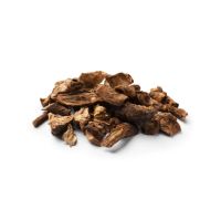 Chicorée en Racine