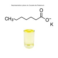 Cocoate de Potassium