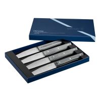 Coffret 4 Couteaux Microdentés Facette Ardoise Opinel