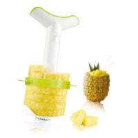 Coupe Ananas Situation Vacuvin
