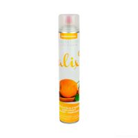Destructeur d'Odeurs Aérosol 750ml Alix