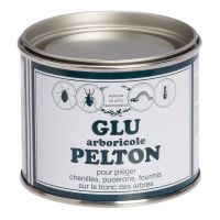 Gly Arboricole Pelton