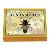 Jeu J'Apprends à Reconnaître les Insectes