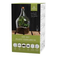 Kit DIY Terrarium Esschert Design