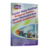Nettoyeur Fenêtres Delu