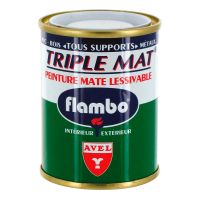 Peinture Triple Mat 100ml Flambo