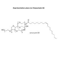 Polysorbate 80