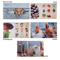 Tapis Anti-Dérapant