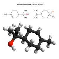 Terpinéol 