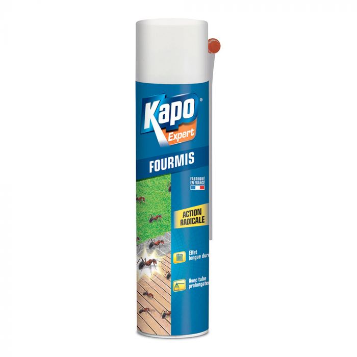 Appat fourmis insecticide.