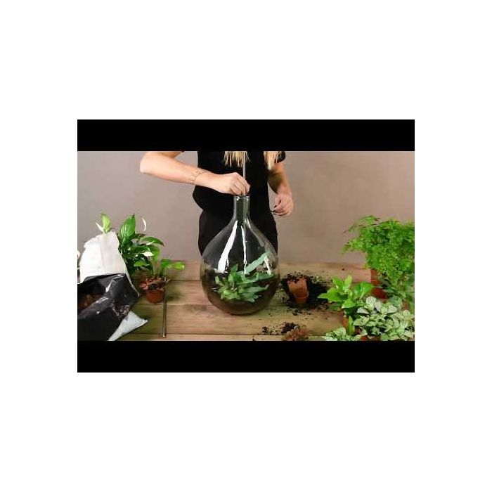 Outil De Ramassage Pour Terrarium - Griffe Intérieure, Idéal Plantes, Petits Objets - Accessoire Pratique