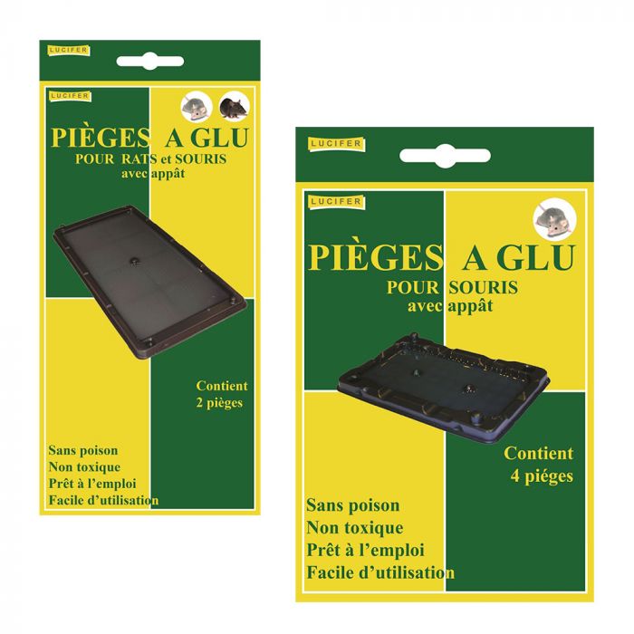 Piège Colle / Glue Rat & Souris - Digrain Traps x 2 - Eradicateur