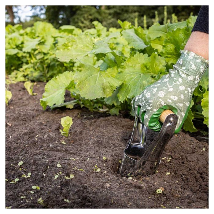 Milifox Plantoir à Bulbes Manche Bois Massif - Outil Jardinage Embout Acier Inoxydable